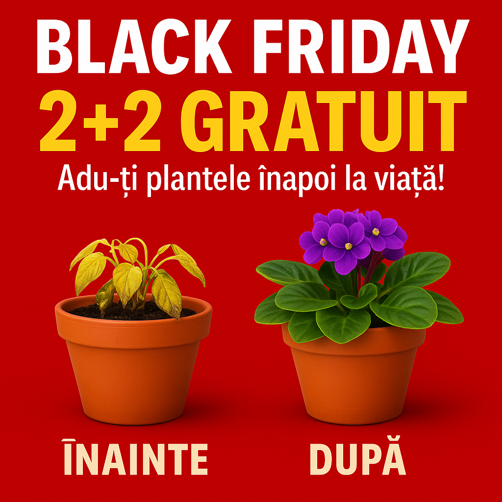 Ser crestere si renastere plante - VerdoMax